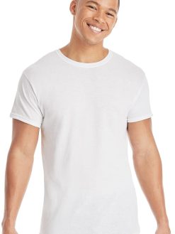 Hanes Men's 2135-3 T-Shirts (pack of 3)