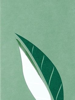 Elizabeth Arden green tea scent spray - 50ml