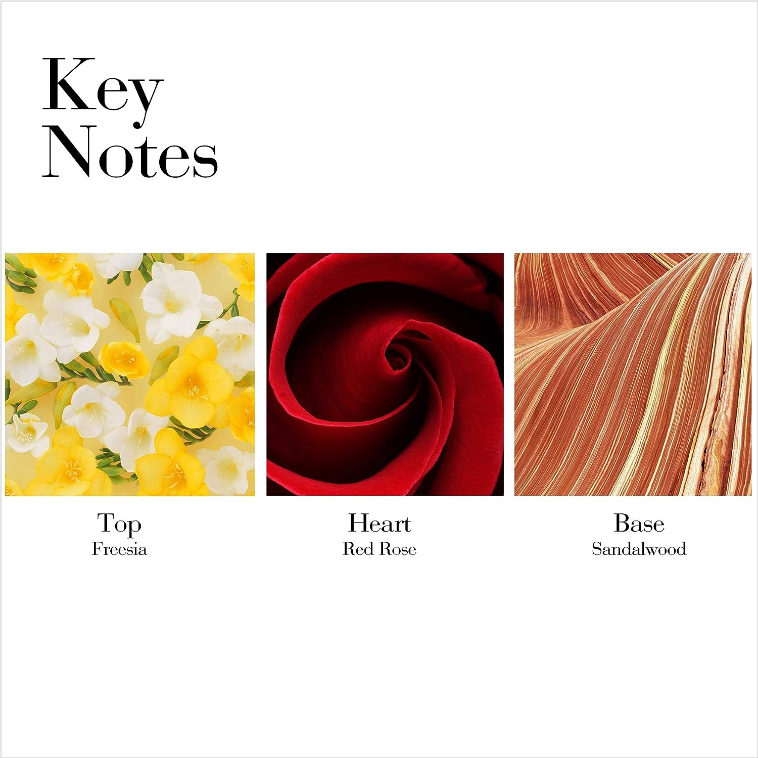 Elizabeth Arden Red Door Perfume for Women Eau De Toilette 100ML