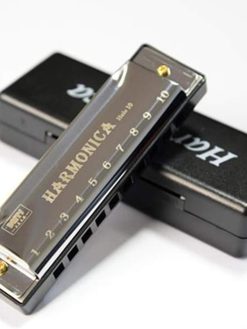 Playmate Harmonicas Key of C 10 Hole Titanium Harmonica Orff Instrument with Case (Silver)