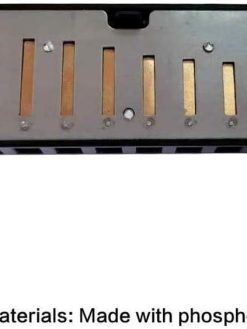 Playmate Harmonicas Key of C 10 Hole Titanium Harmonica Orff Instrument with Case (Silver)