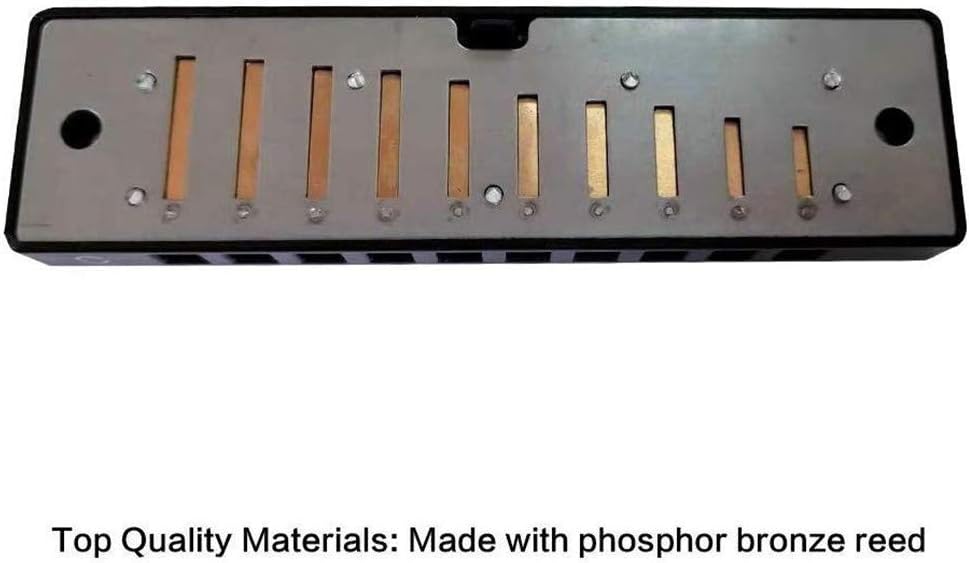 Playmate Harmonicas Key of C 10 Hole Titanium Harmonica Orff Instrument with Case (Silver)