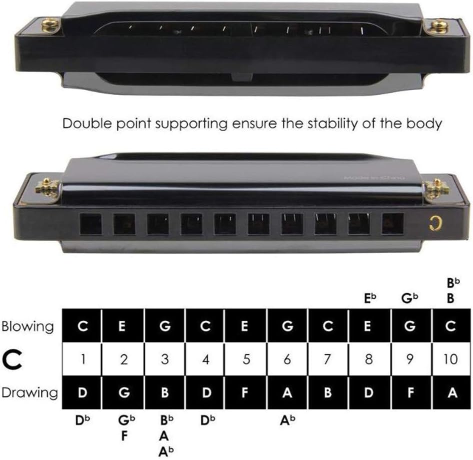 Playmate Harmonicas Key of C 10 Hole Titanium Harmonica Orff Instrument with Case (Silver)