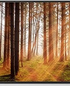 Toshiba 43 Inch TV Full HD Android Smart - 43L5965EE