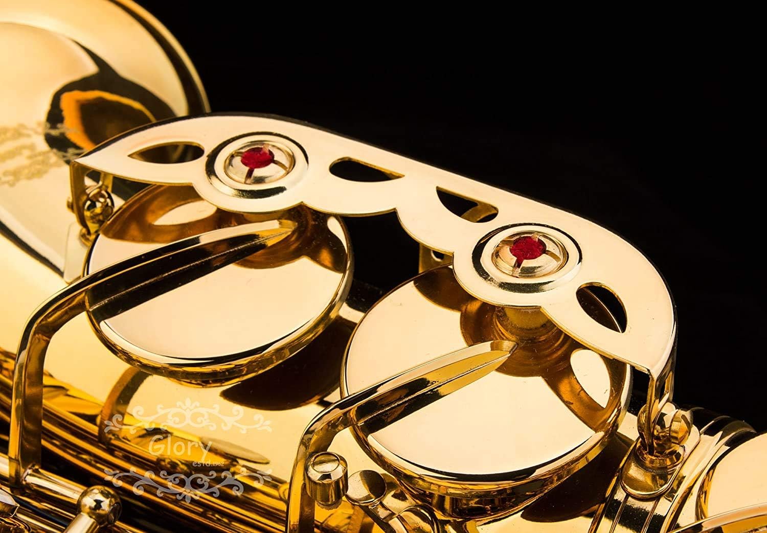 Mike Music Alto Saxophone Sax Brass Gold Woodwind Instrument with Padded Carry Case Gloves Cleaning Cloth Brush Sax Straps Reeds(Saxophone)