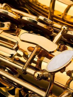 Mike Music Alto Saxophone Sax Brass Gold Woodwind Instrument with Padded Carry Case Gloves Cleaning Cloth Brush Sax Straps Reeds(Saxophone)