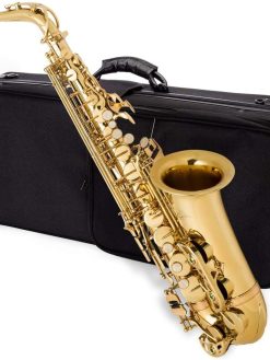 Mike Music Alto Saxophone Sax Brass Gold Woodwind Instrument with Padded Carry Case Gloves Cleaning Cloth Brush Sax Straps Reeds(Saxophone)