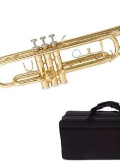 Mike Music Trumpet-Brass, Gold Trumpets w/Instrument Case, Cloth, Oil, Gloves-Musical Instruments For Beginner or Experienced (Trumpet)
