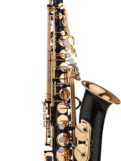 Alisashop Eb Alto Saxophone Sax Brass Lacquered Gold 82Z Key Type Woodwind Instrument with Padded Carry Case Gloves Cleaning Cloth Brush Sax Straps Reeds