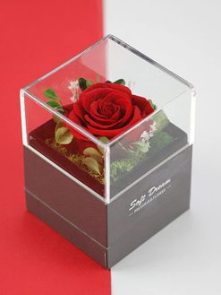 FIZOZI-Real Preserved Rose Jewelry box - Eternal Rose Gift Box, Handmade Fresh Rose Gift for Her on Birthday,Christmas,Mother's Day,Valentine's Day (Red)