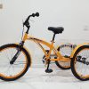 Classic 20 Inch Tricycle CL 2800, Orange