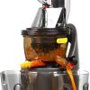 Wonderchef Regalia Full Fruit Cold Press Slow Juicer | 55 RPM Slow Juicer Retains Higher Nutrients | 240W powerful DC motor | Easy to Clean | 5-Year Motor Warranty