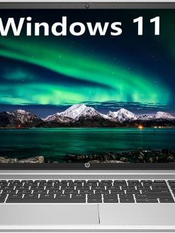 HP ProBook 450 G9 Business Laptop, 15.6" FHD Display, 12th Gen Intel 10-Core i5-1235U (Beat i7-1195G7), Windows 11 Pro, 16GB RAM, 1TB SSD, HDMI, Type-C, Numeric Keypad, Durlyfish (Upgraded)