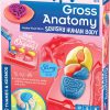 Thames & Kosmos Gross Anatomy: Make-Your-Own Squishy Human Body STEM Experiment Kit | Make Colorful Models of Human Organs with Slime & Putty | Fun, Tactile Intro to Human Anatomy | 5 Cool Activities