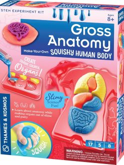 Thames & Kosmos Gross Anatomy: Make-Your-Own Squishy Human Body STEM Experiment Kit | Make Colorful Models of Human Organs with Slime & Putty | Fun, Tactile Intro to Human Anatomy | 5 Cool Activities
