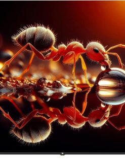 VG 75 Inch Edgeless 4K UHD WebOS Smart TV - A+ Grade Panel, Magic Remote, Bluetooth, Dolby Audio – VGLED75WOU-(2025 Latest Model)