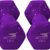 SKY LAND Classical Dumbbells Hand Weights Set of 2 - Vinyl Coated Exercise & Fitness Dumbbell for Home Gym Equipment Workouts Strength Training, 1Kg X 2 Purple, EM-9219-1