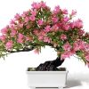 yoerm Fake Plants Plastic Artificial Bonsai Tree, Pink Room Decor Bonsai Tree for Home Bedroom Farmhouse Office Desk Decor, Tall 9.5"