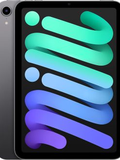 Apple 2021 iPad mini (8.3-inch, Wi-Fi, 256GB) - Space Grey (6th Generation) (Renewed)