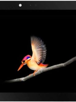 LCD Screen for Microsoft Surface go 1824 with Digitizer Full Assembly（Black)